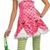 Strawberry Shortcake Costume