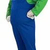Adult Deluxe Luigi Costume