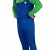 Adult Luigi Costume