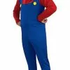 Adult Mario Costume