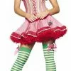 Sexy Berry Costume