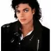 Michael Jackson Wig